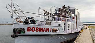 Bosman I